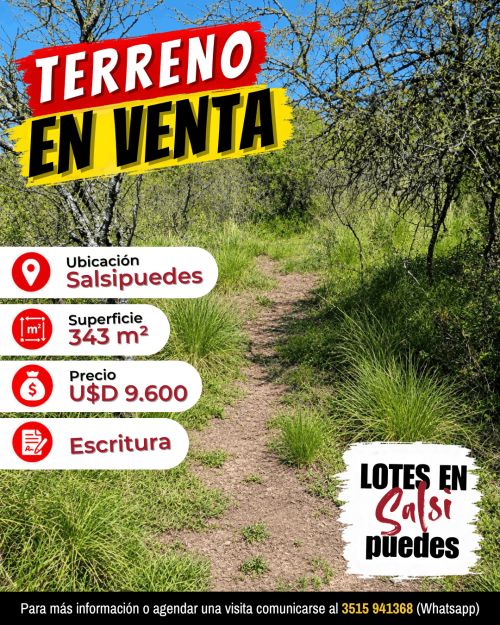 imagen de Terreno 343 m² con escritura en Salsipuedes con id 36751